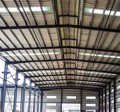 Steel structure plant features