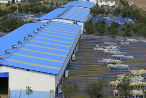 H Steel beam industrial goat and sheep steel structure building breeding design