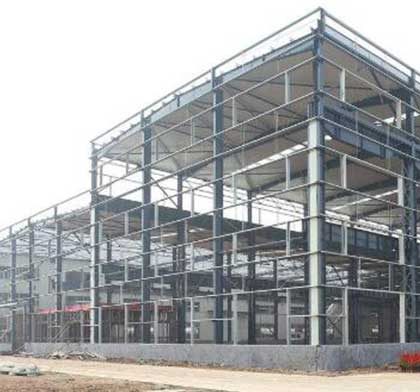 Steel structure plant features